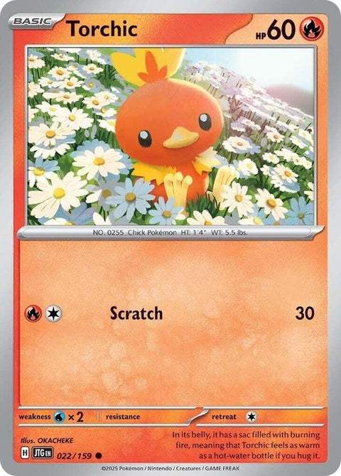22-torchic
