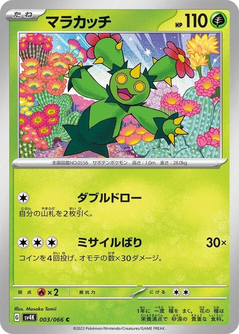 3-maractus