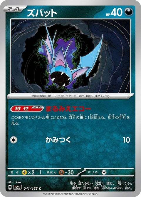 41-zubat