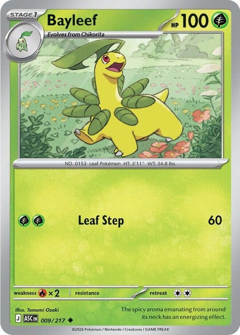 9-bayleef