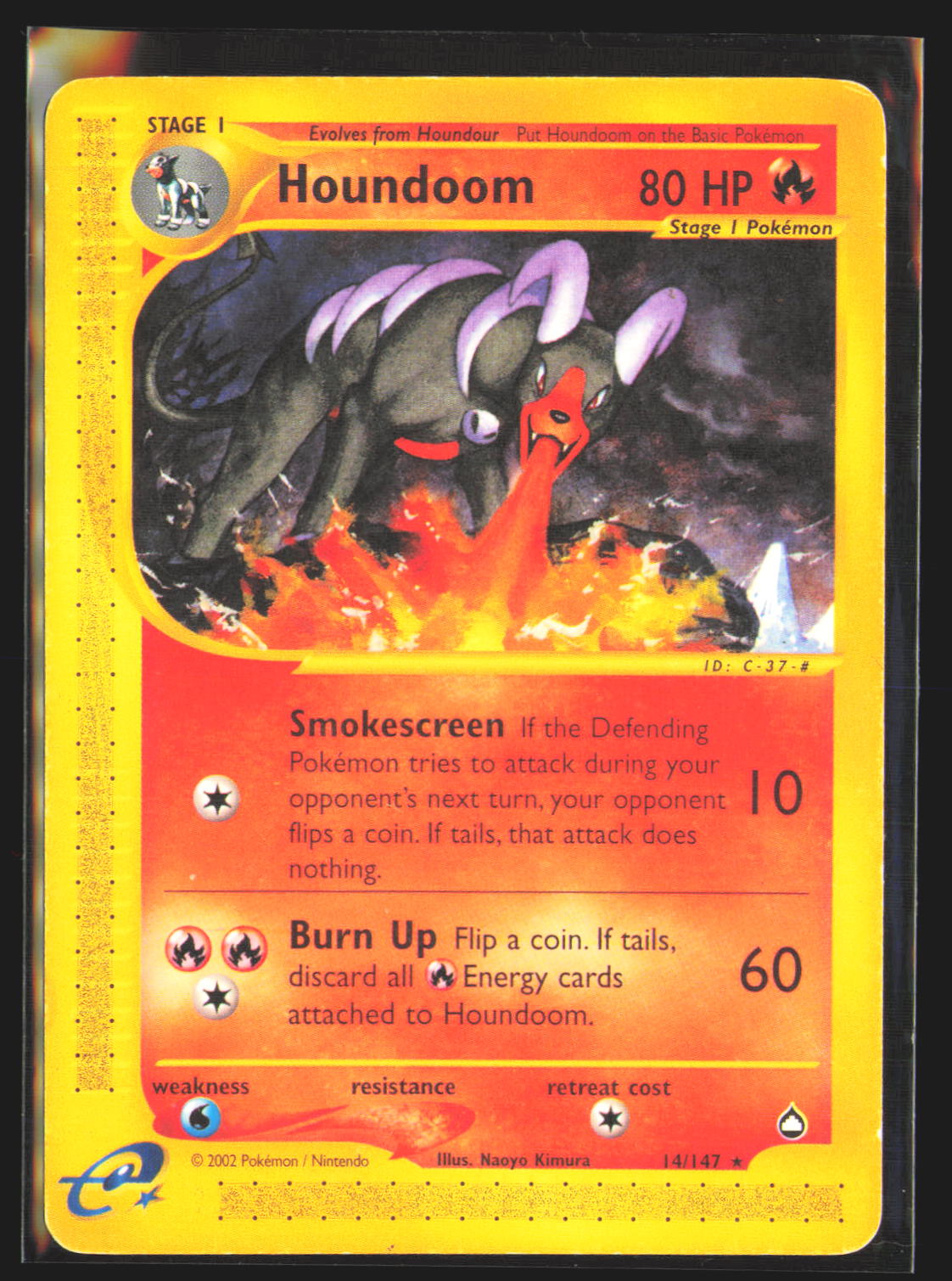 Houndoom (14)