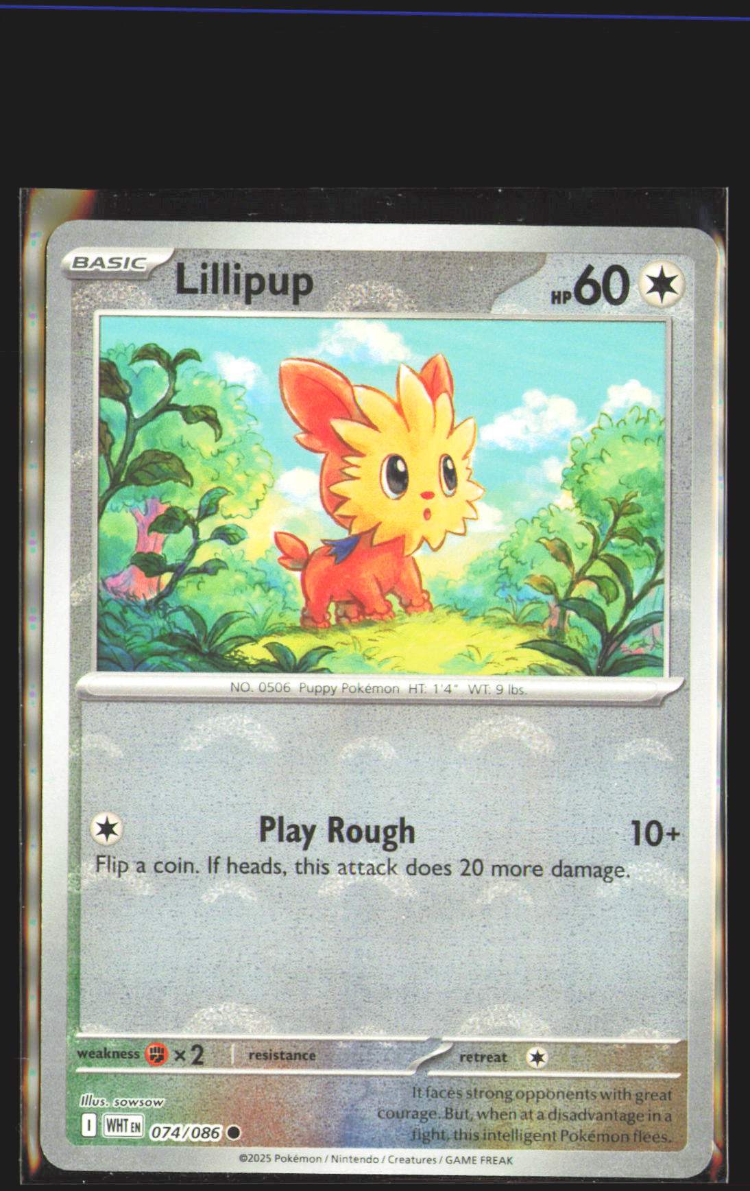 Lillipup (Poke Ball Pattern)