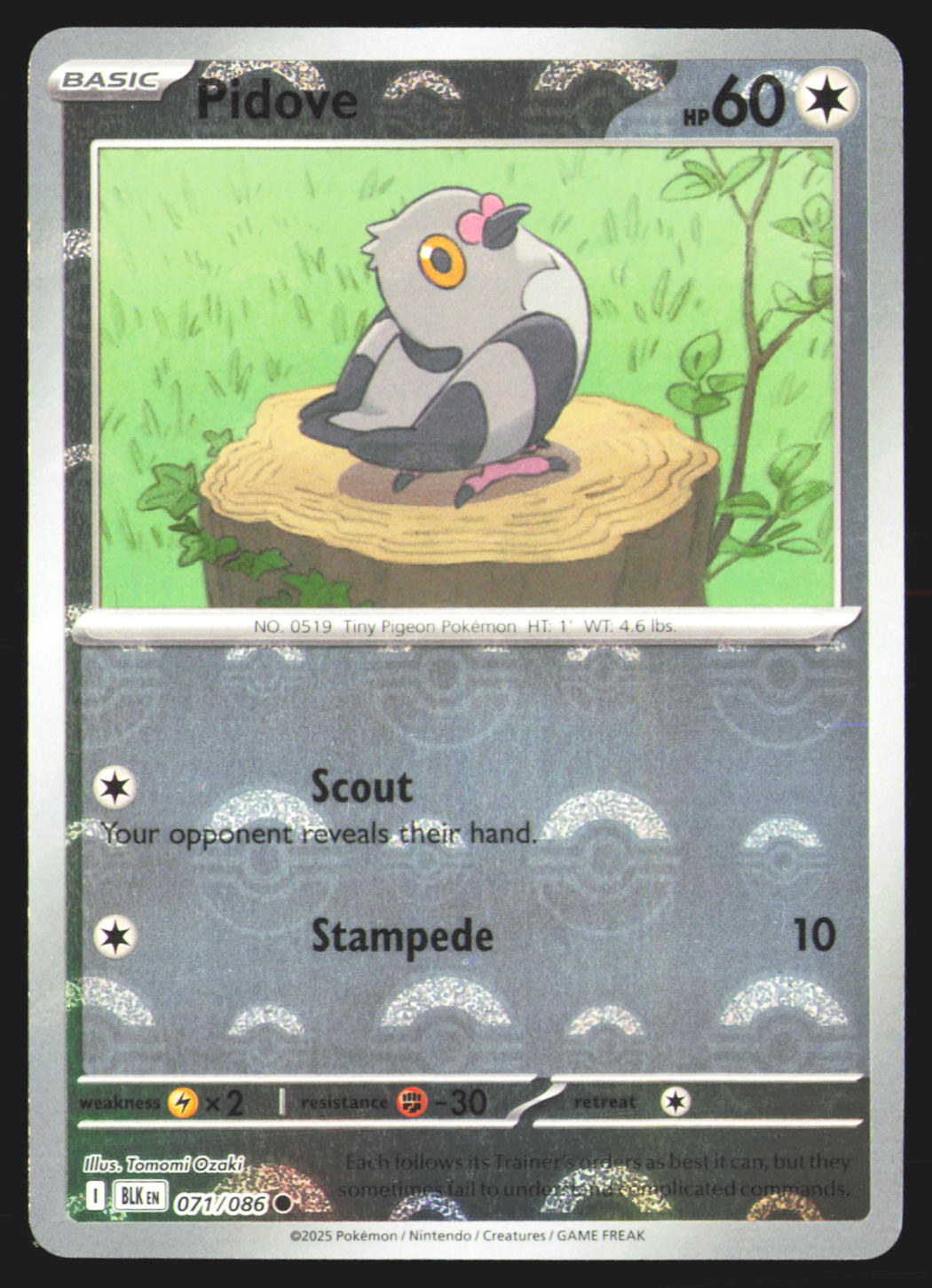 Pidove (Poke Ball Pattern)