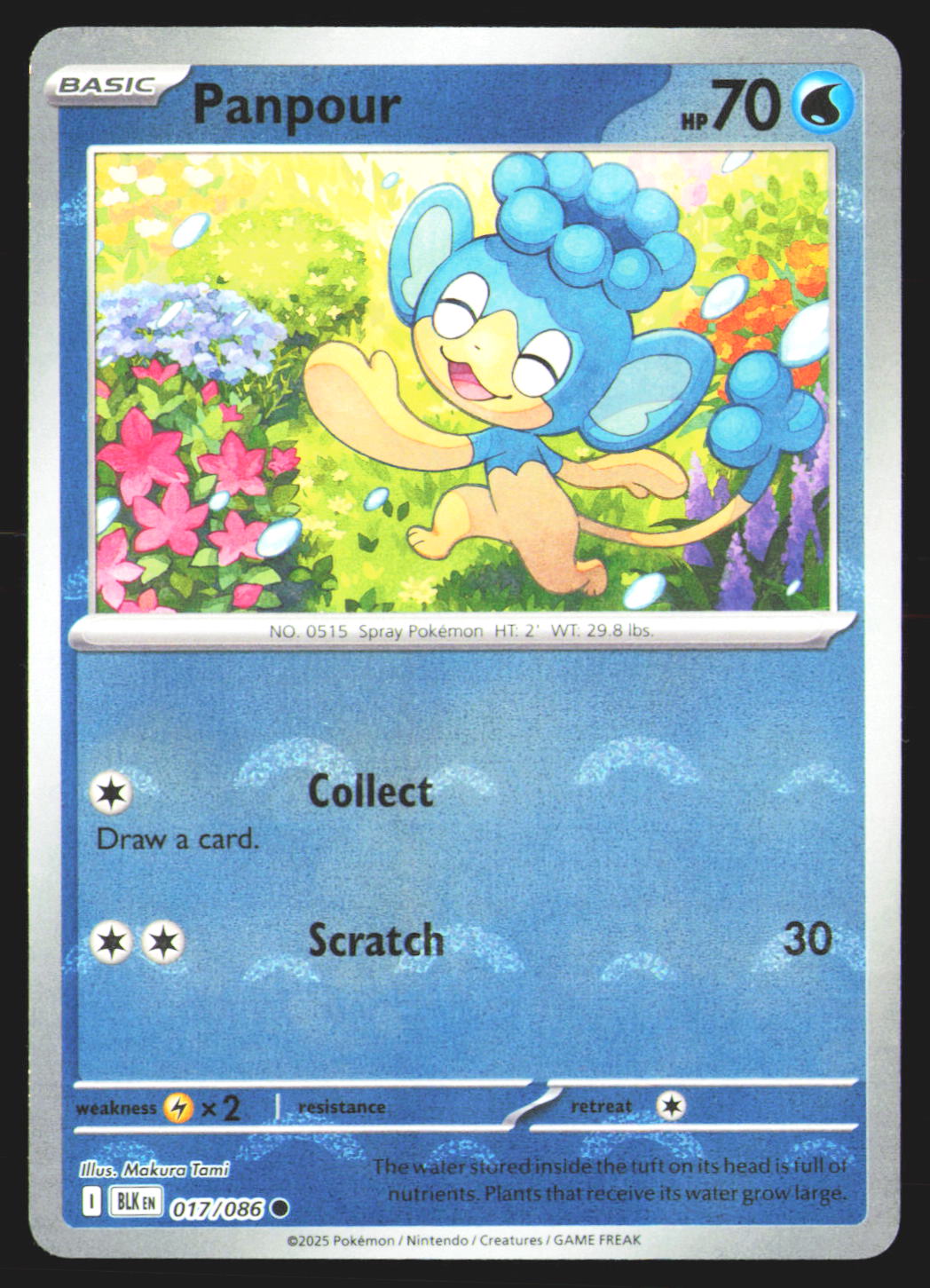 Panpour (Poke Ball Pattern)