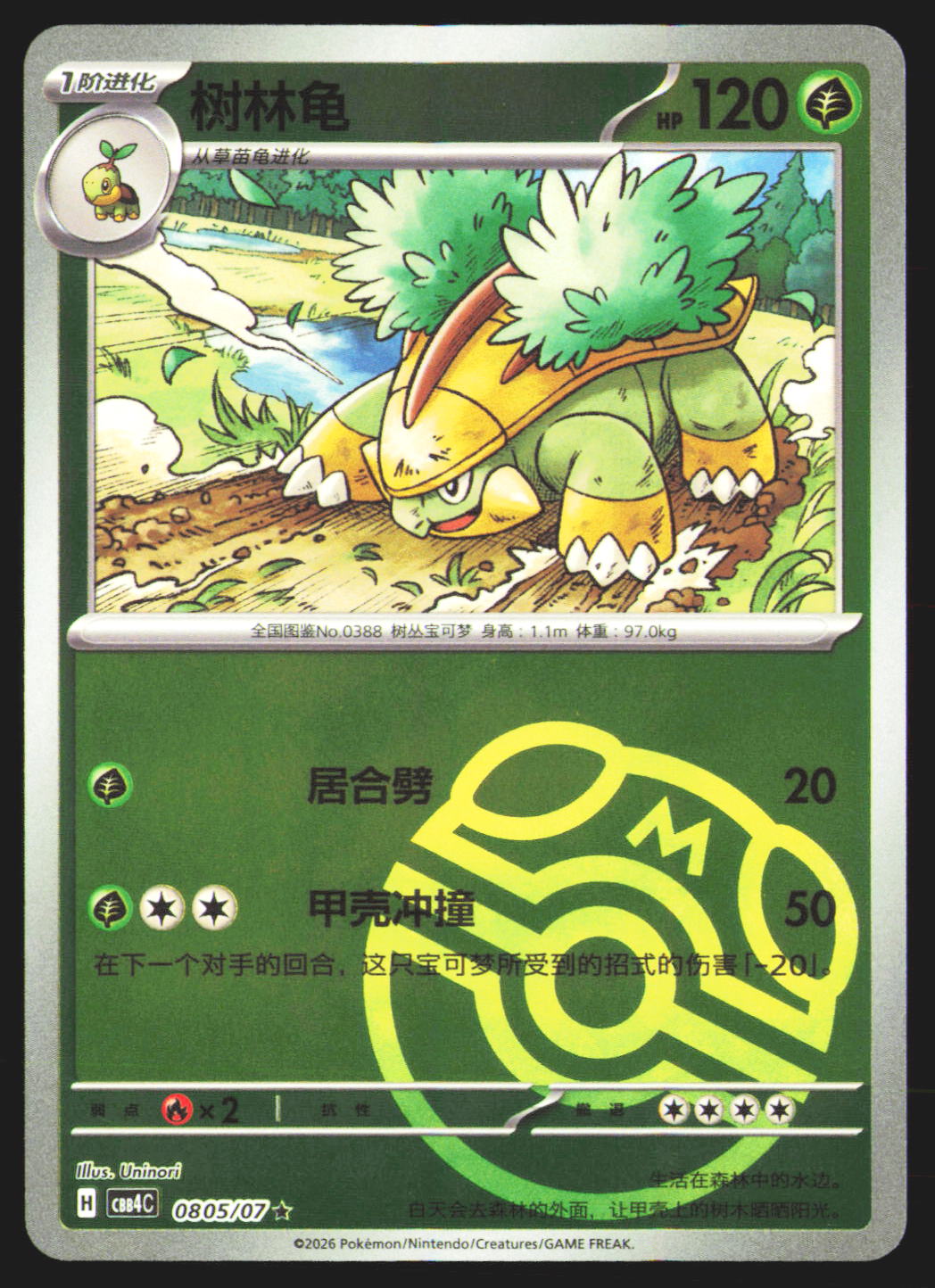 Grotle - 805