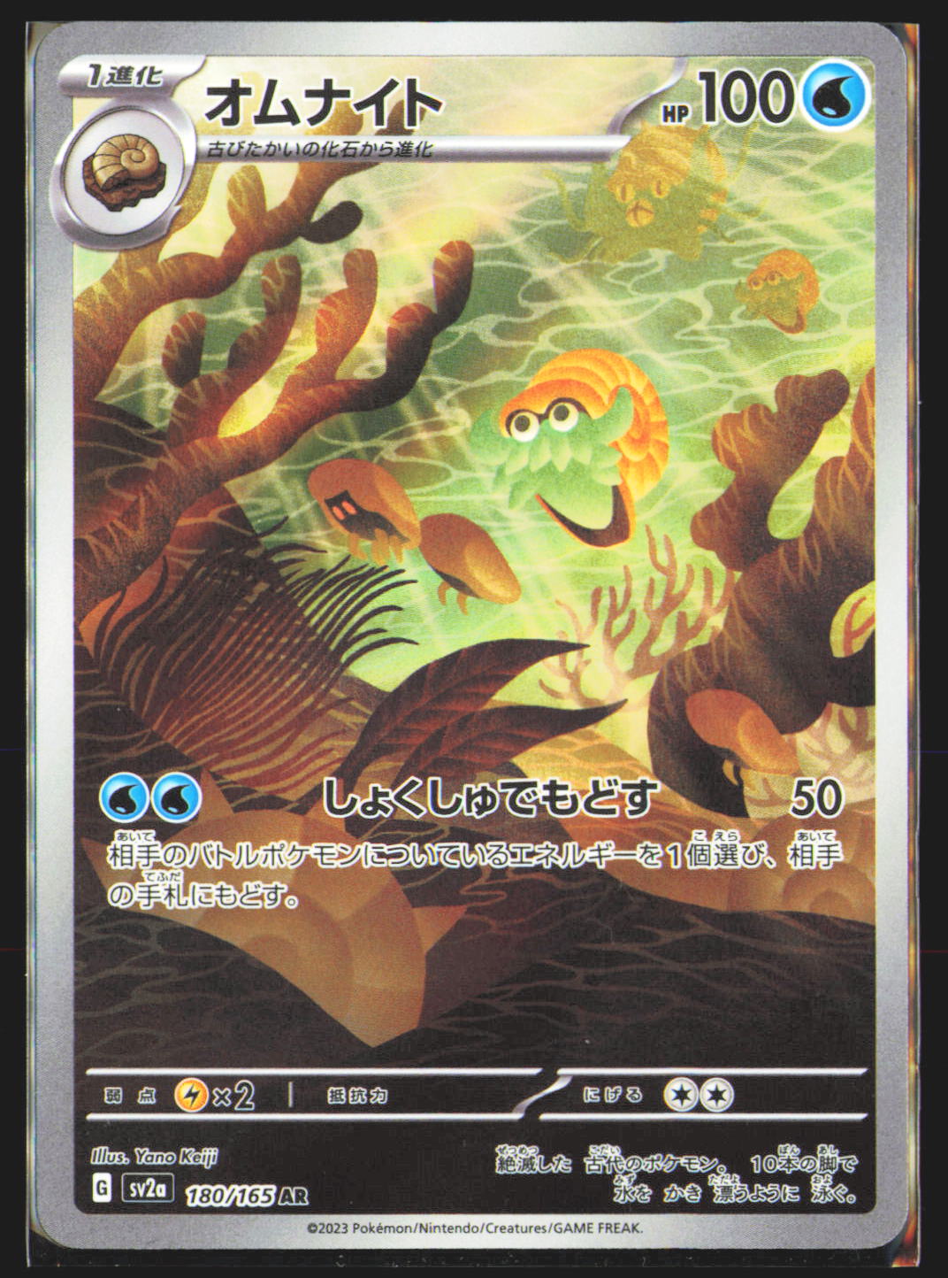 Omanyte - 180/165