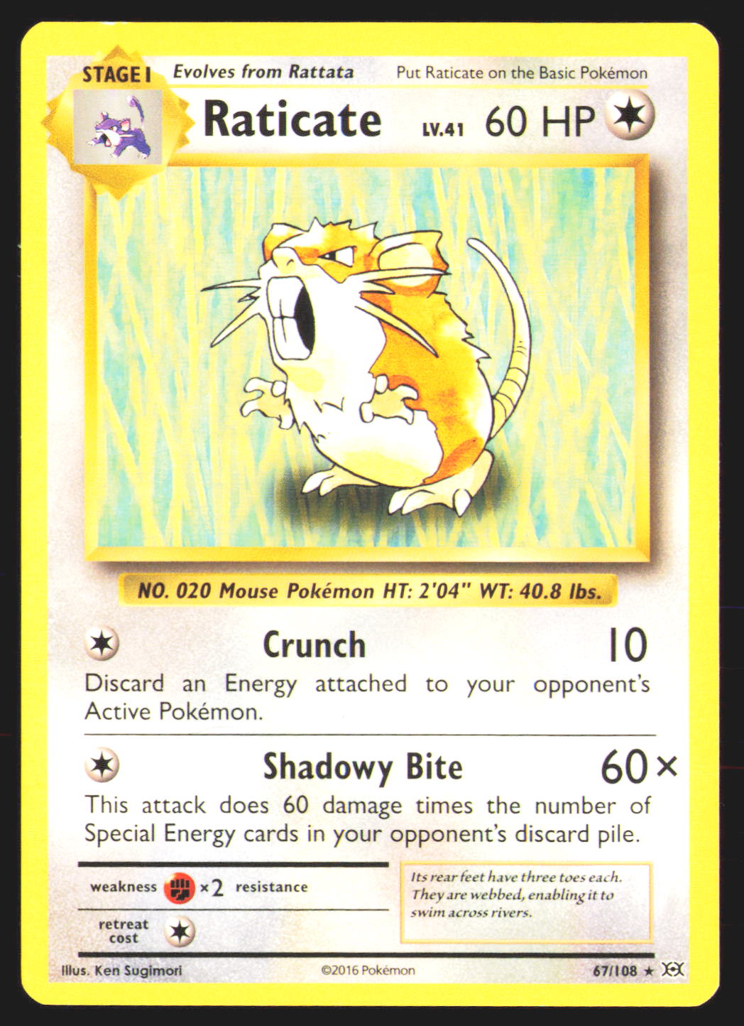 Raticate
