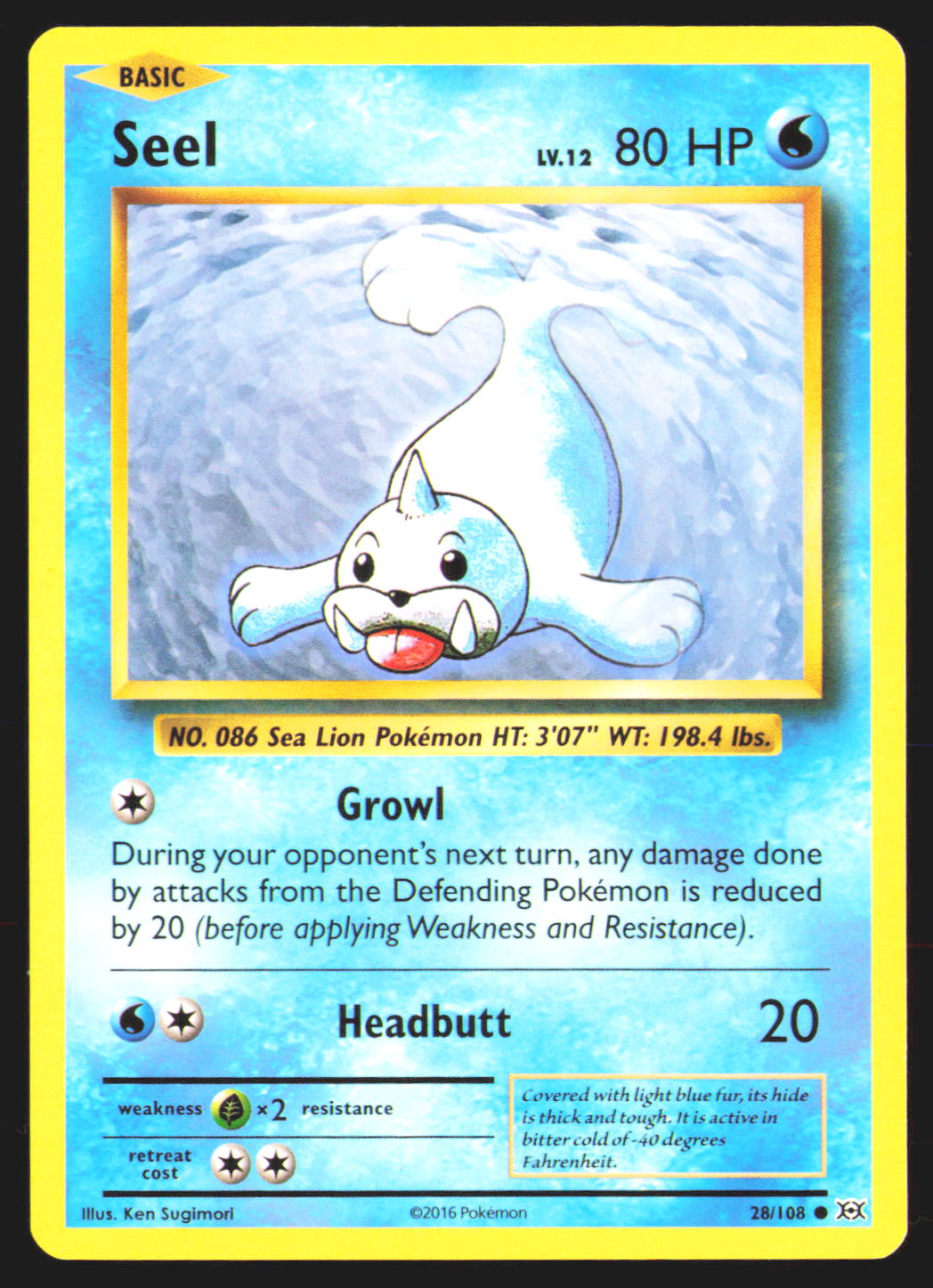 Seel