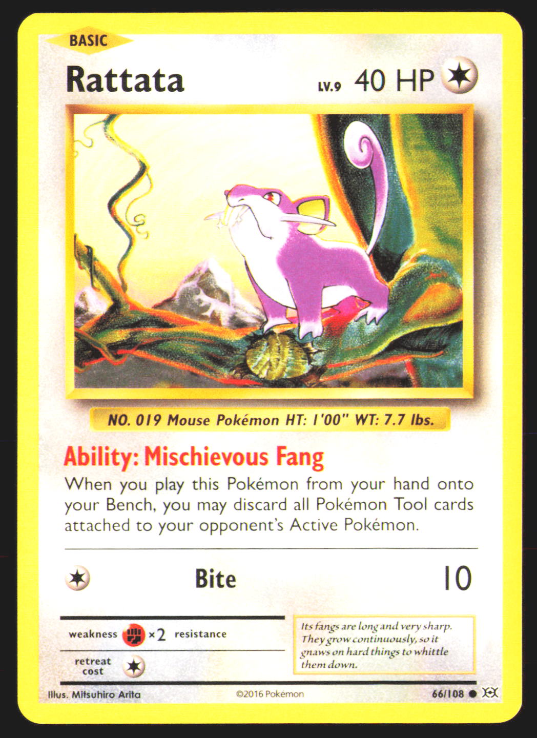 Rattata