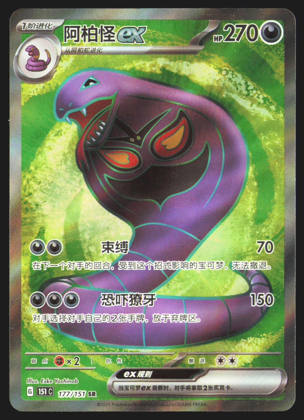 Arbok ex - 177