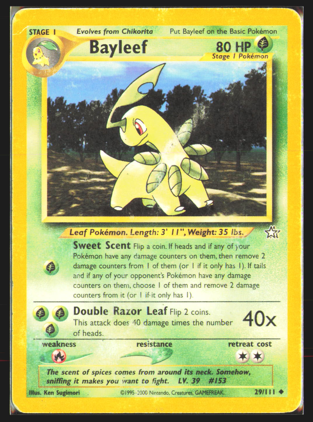 Bayleef (29)