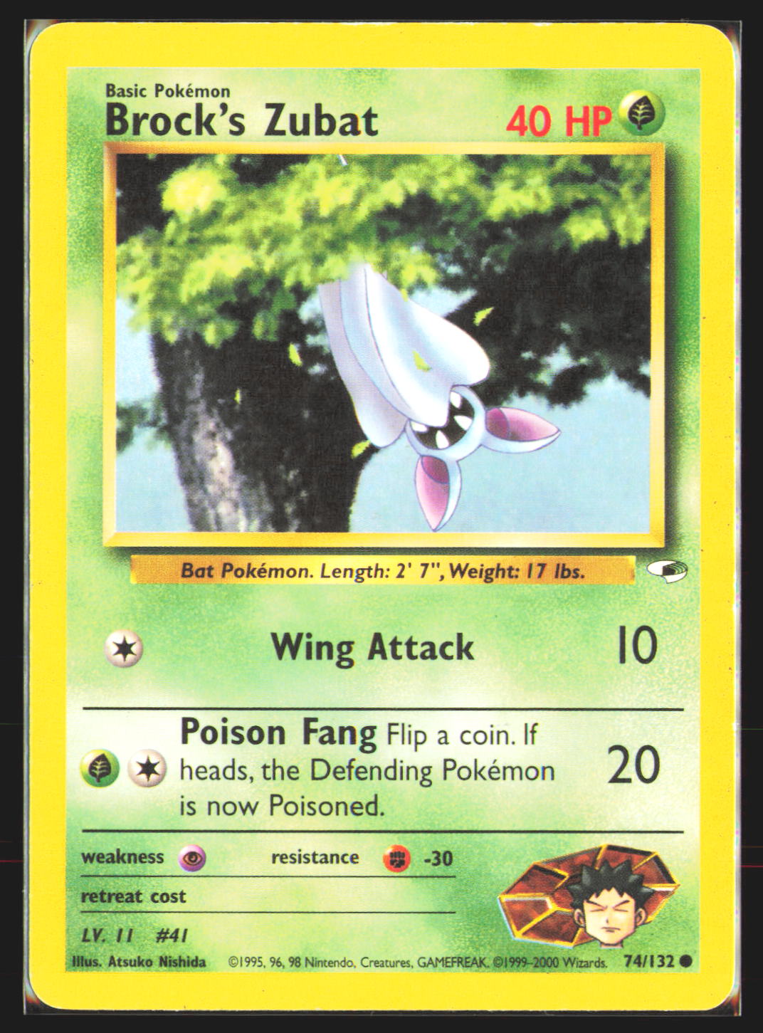 Brock's Zubat (74)