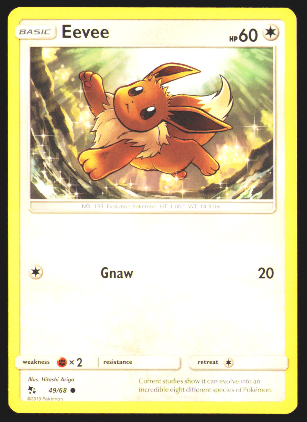 Eevee (49)