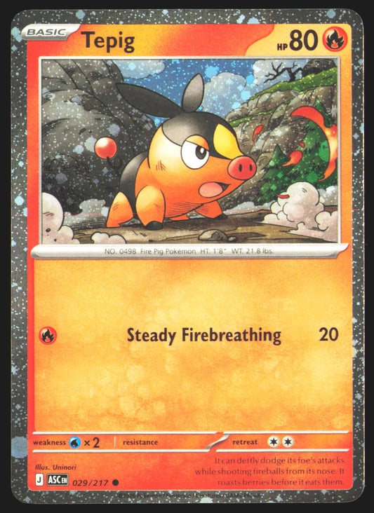 Tepig - 029/217 (Cosmos Holo)