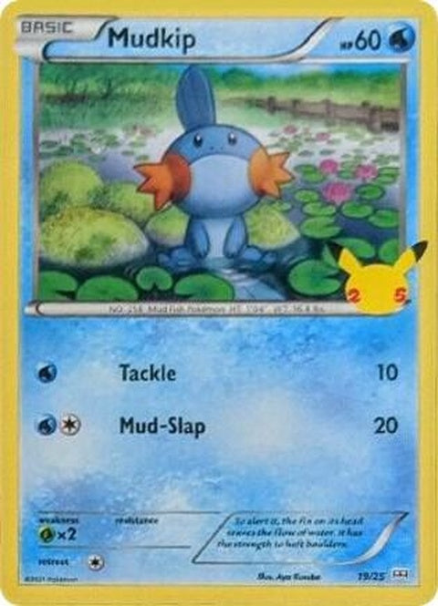 19-mudkip