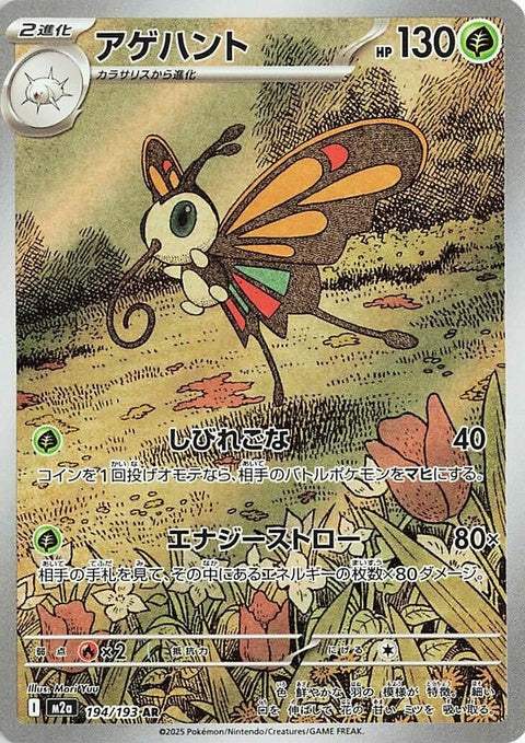 194-beautifly