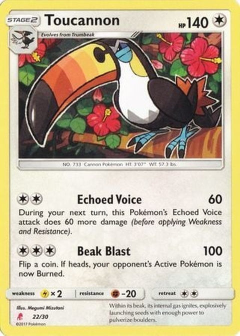 22-toucannon