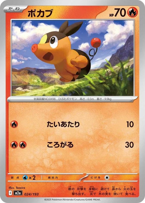 24-tepig