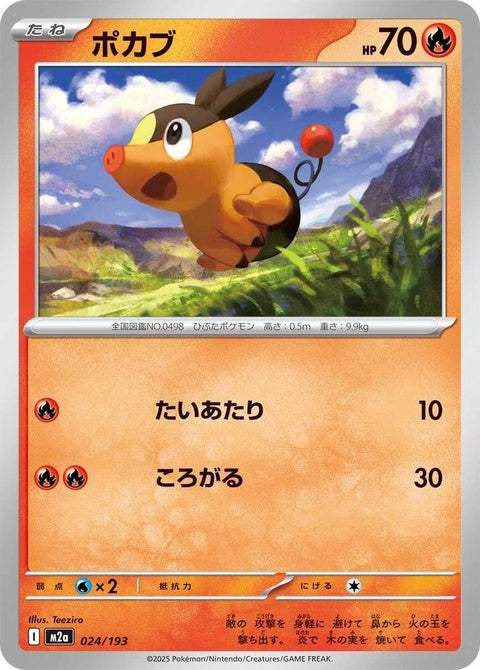24-tepig