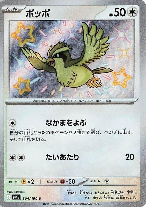 304-pidgey