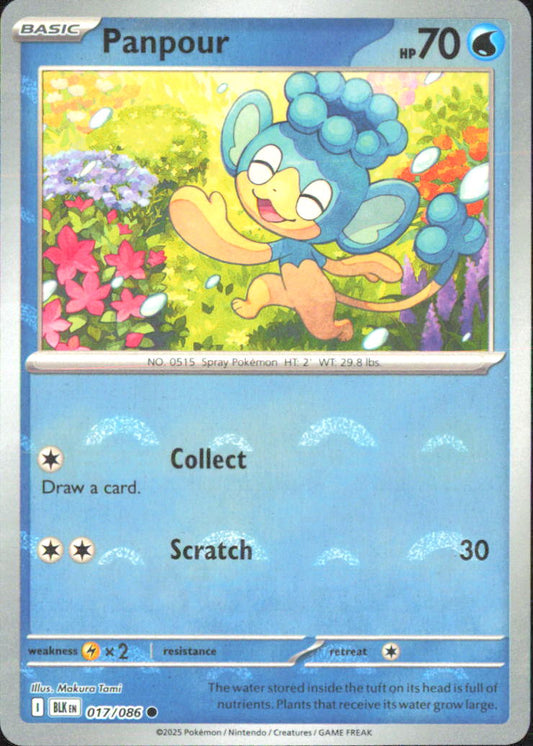 Panpour (Poke Ball Pattern) SV: Black Bolt 017/086 NM - Pokemon TCG