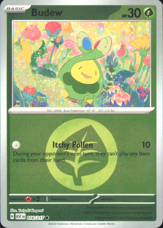 Budew - (Energy Symbol Pattern) ME: Ascended Heroes 016/217 NM - Pokemon TCG