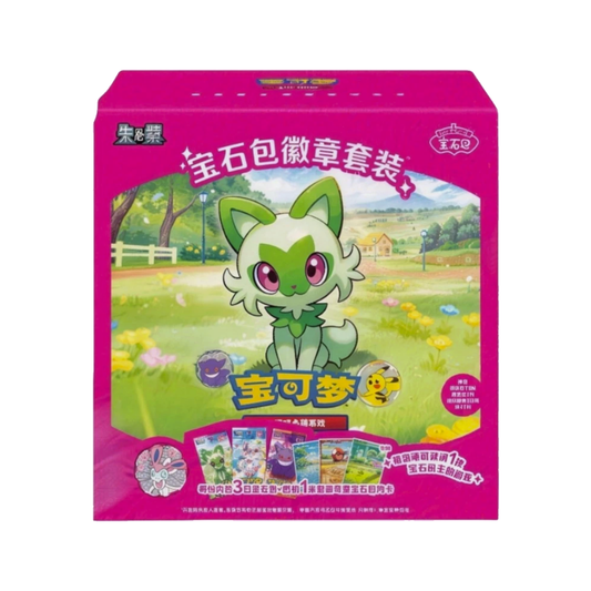 Pokemon Chinese Gem Badge Case