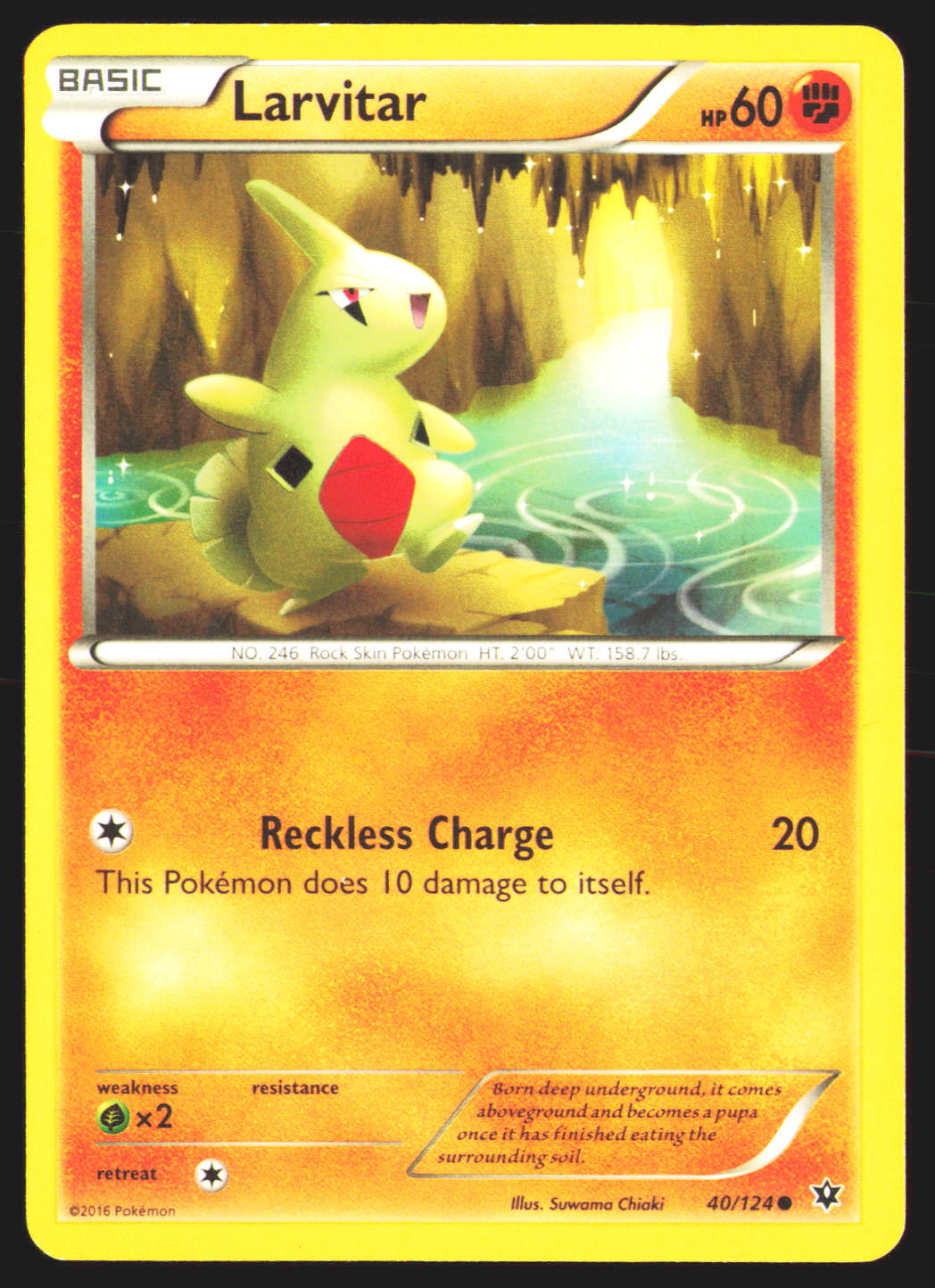 Larvitar (40)