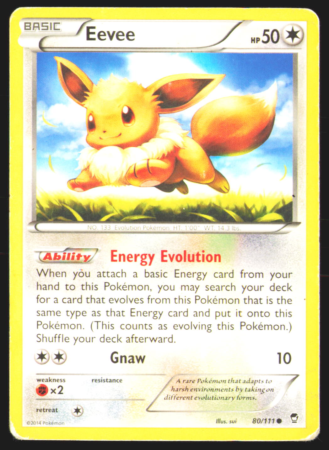 Eevee