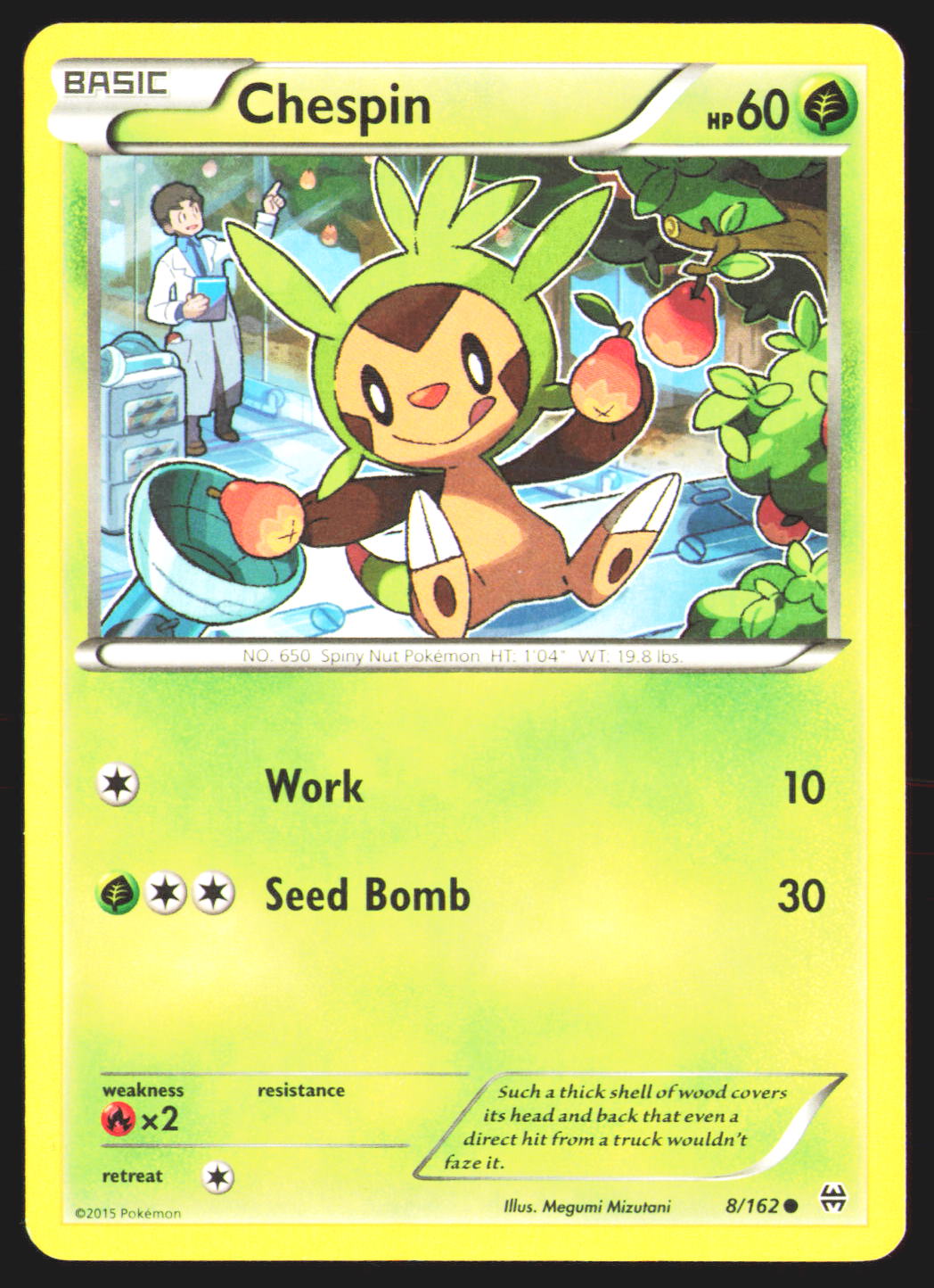 Chespin (8)