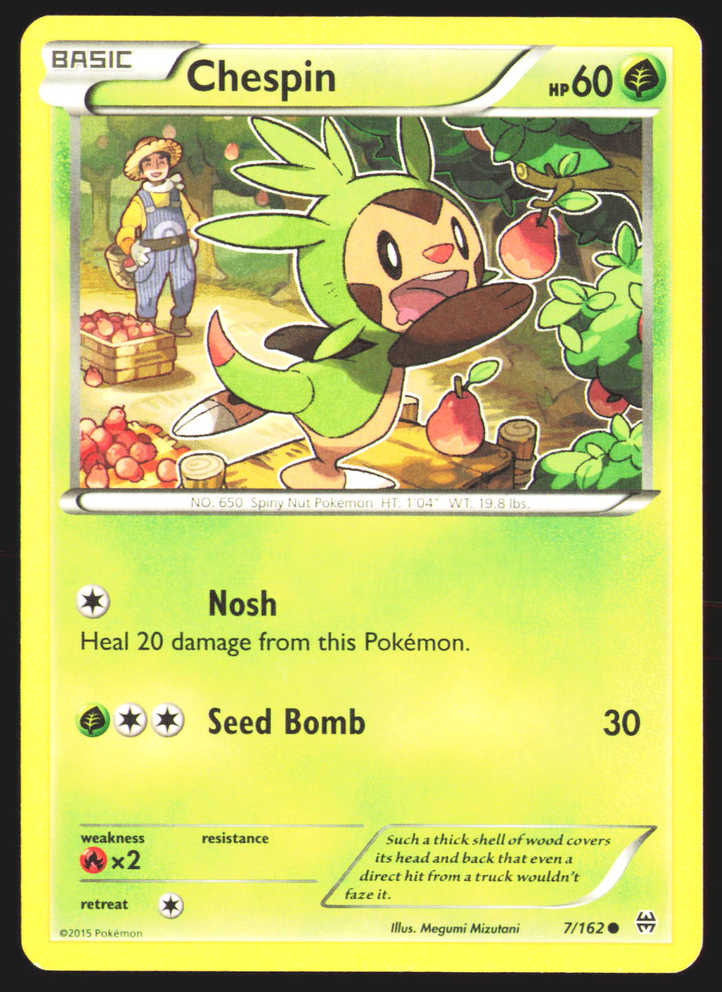 Chespin (7)