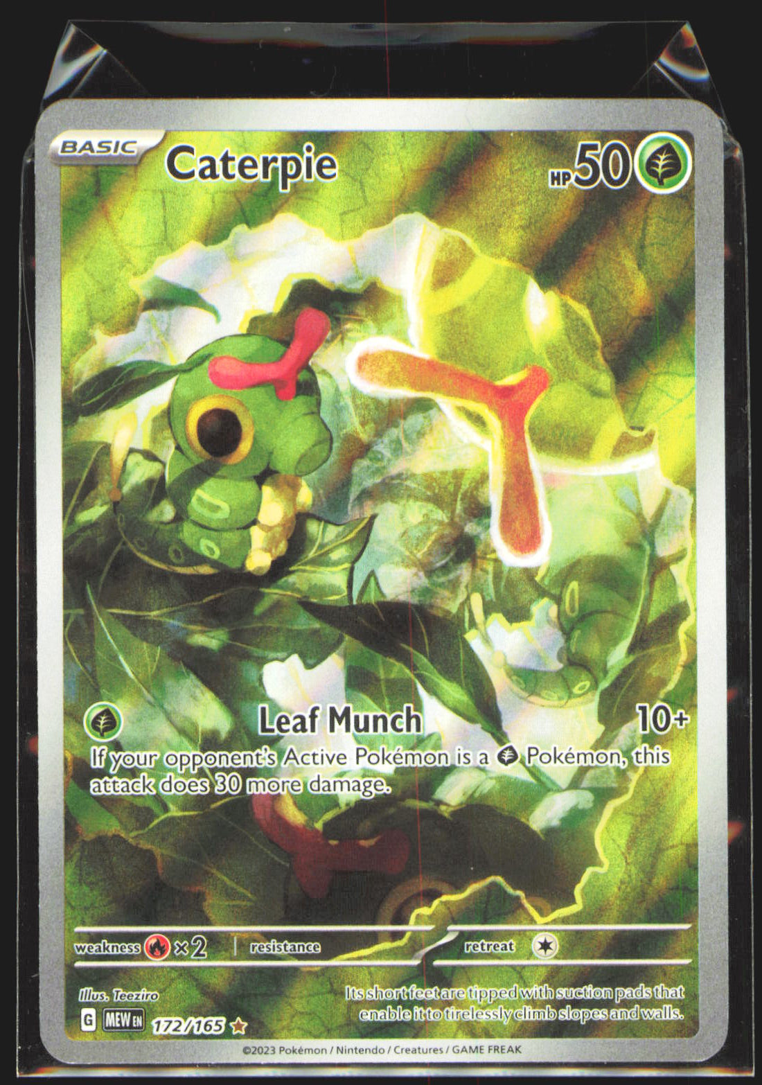 Caterpie - 172/165