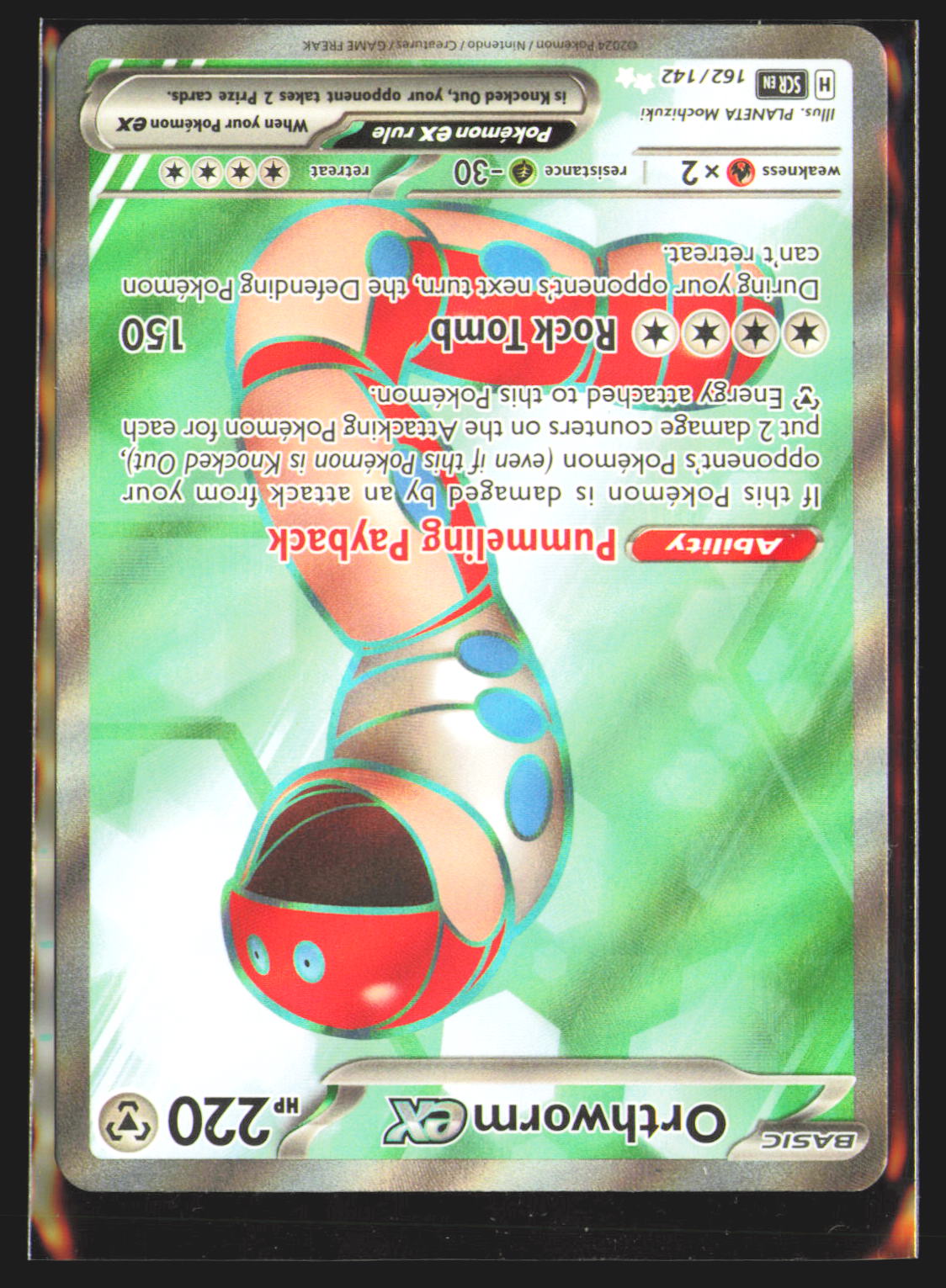 Orthworm ex - 162/142