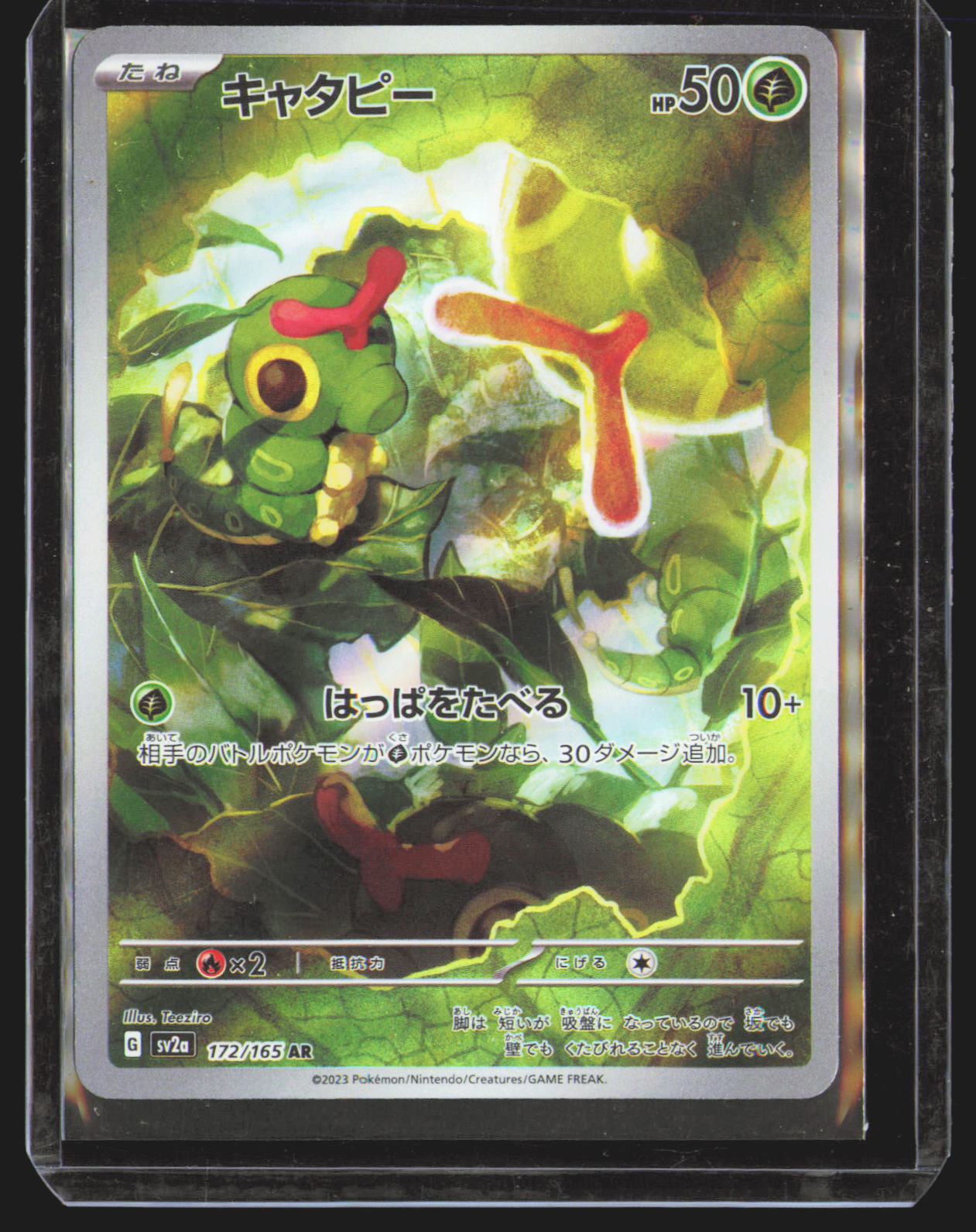 Caterpie - 172/165