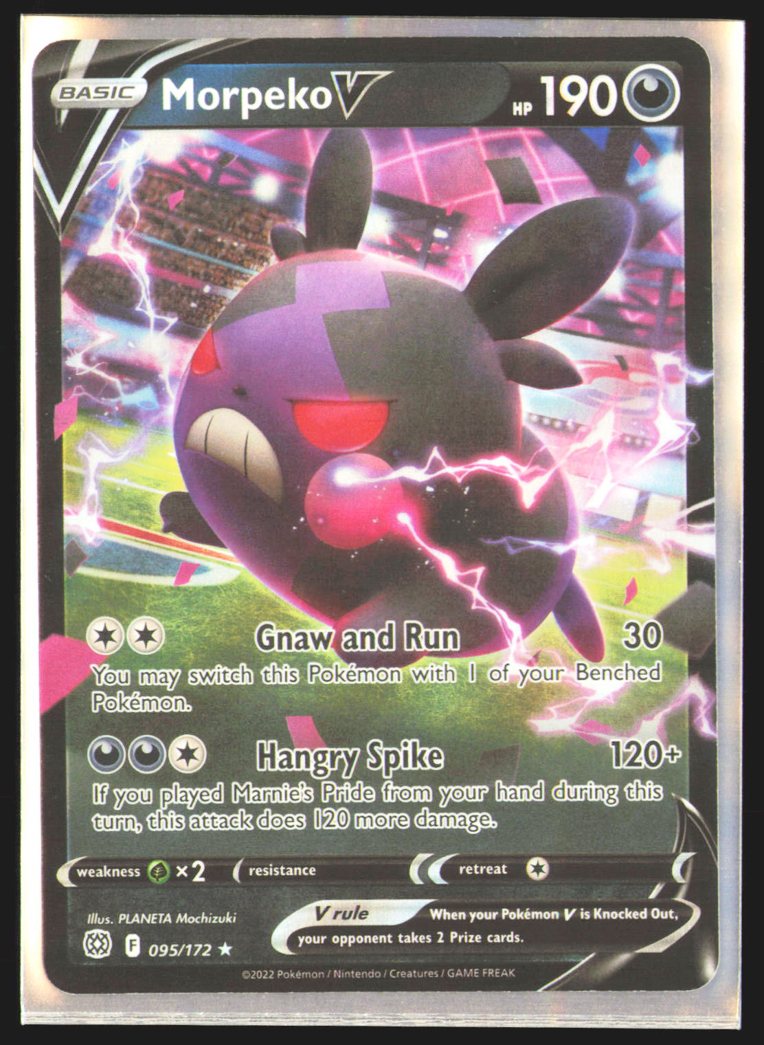 Morpeko V