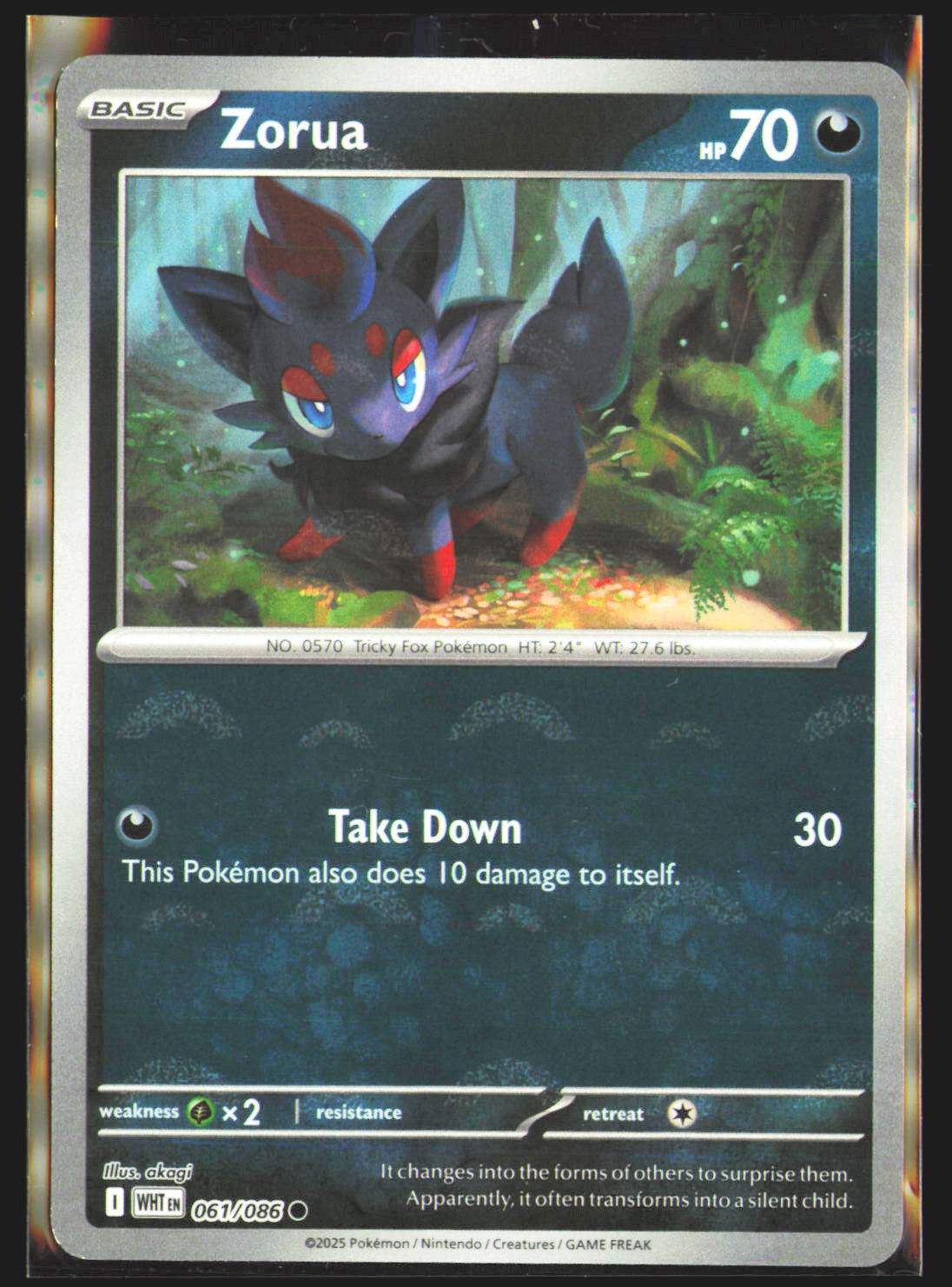 Zorua (Poke Ball Pattern)