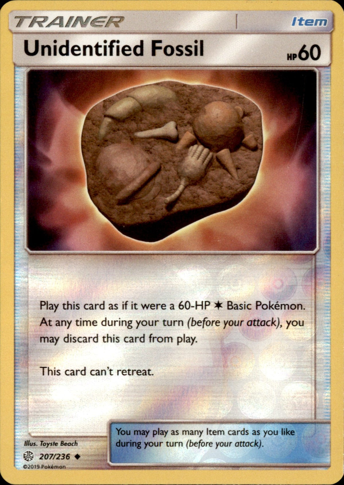 Unidentified Fossil