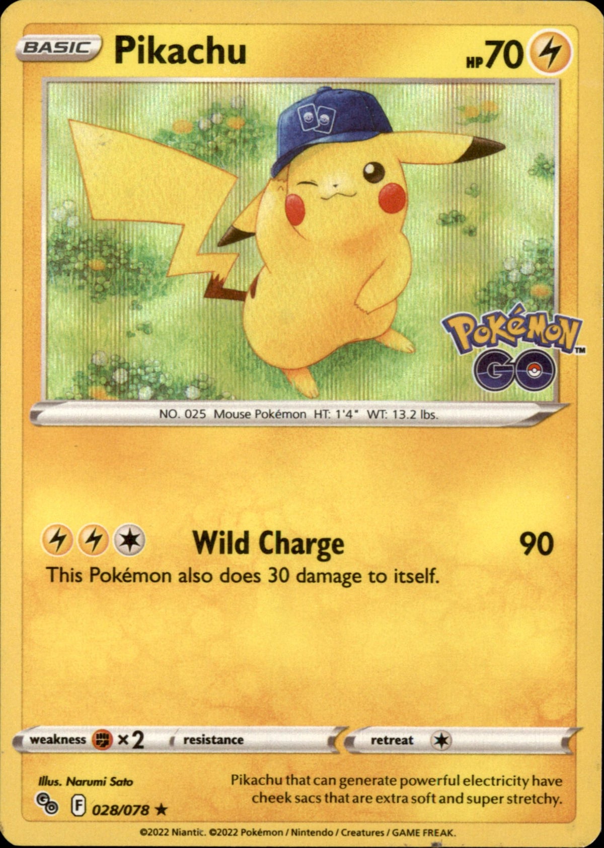 Pikachu (28)