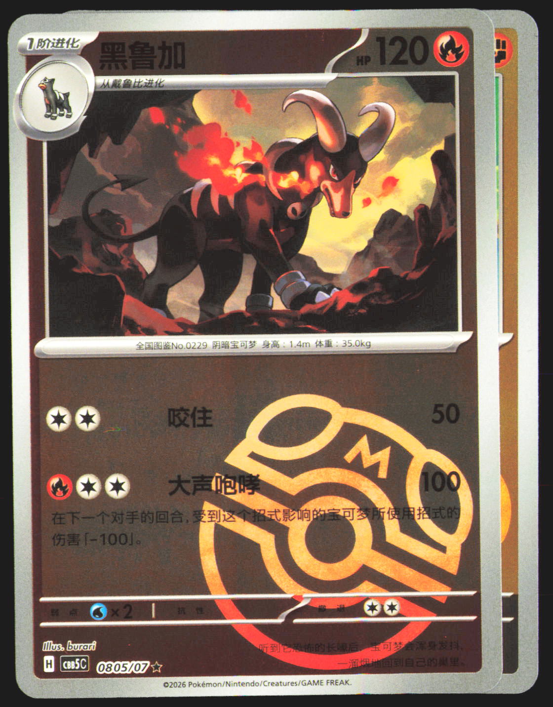 Houndoom - 805
