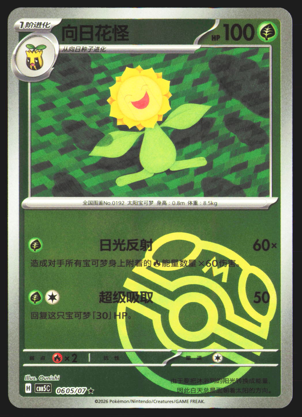 Sunflora - 605