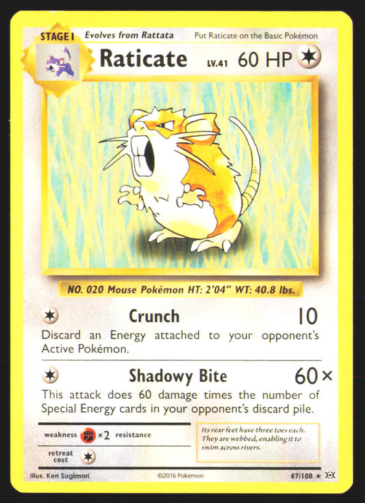 Raticate