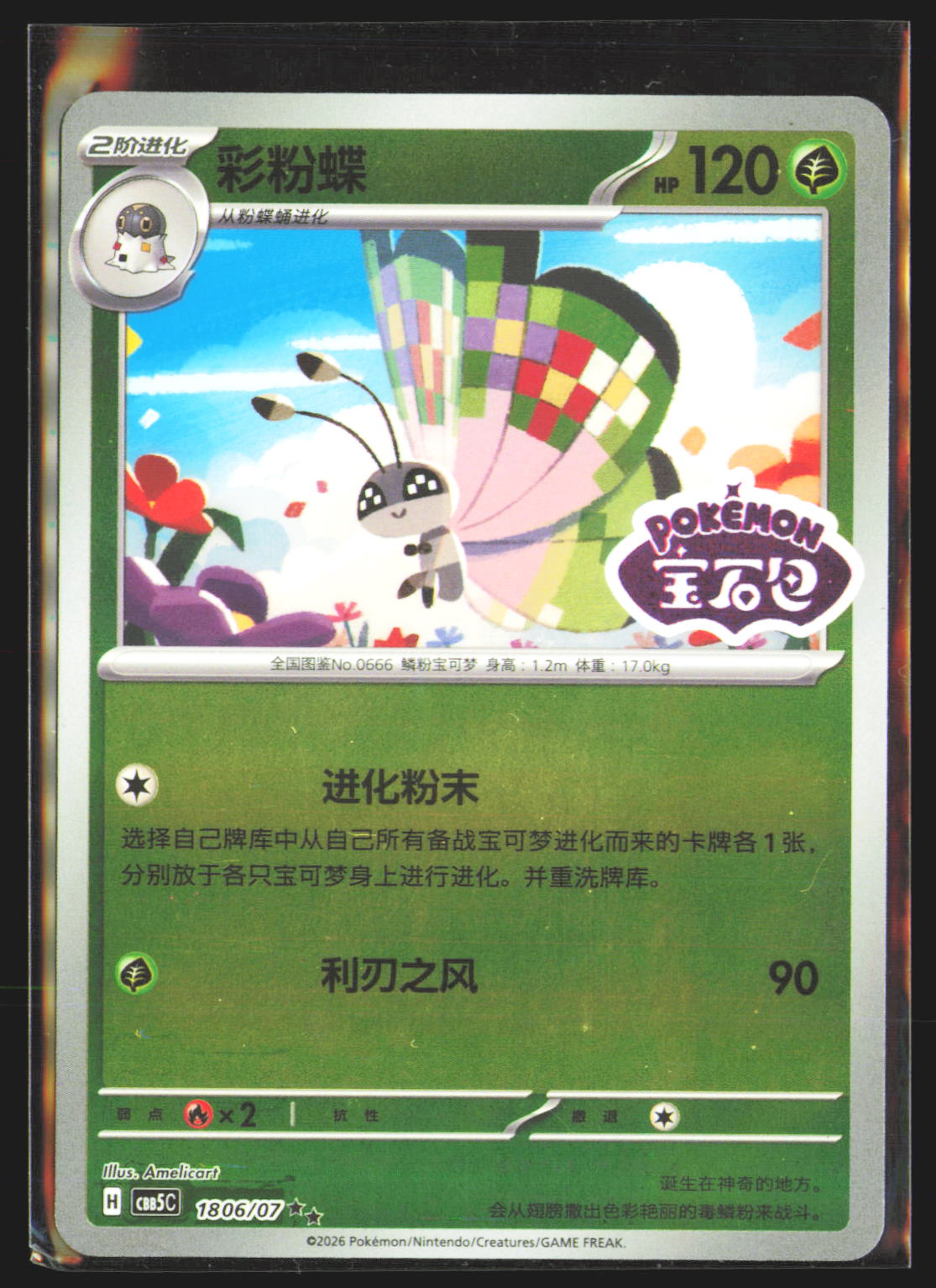 Vivillon - 18 06