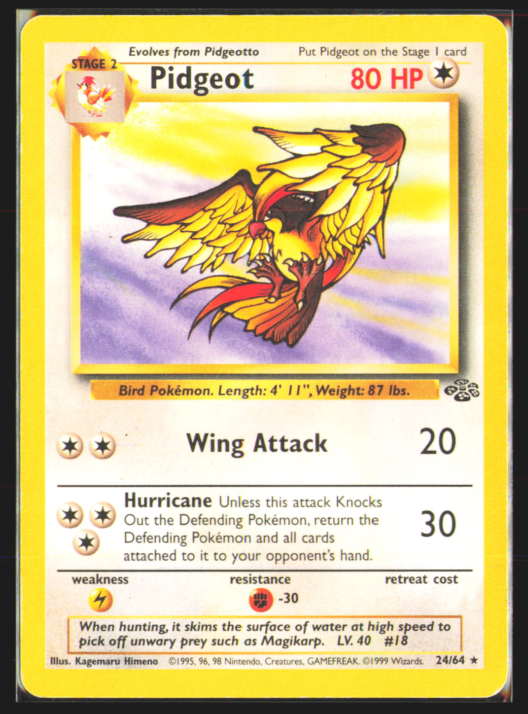 Pidgeot (24)