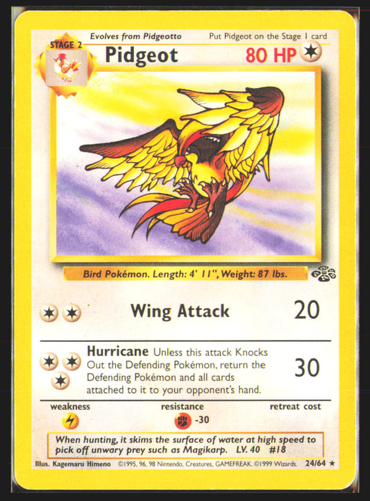 Pidgeot (24)