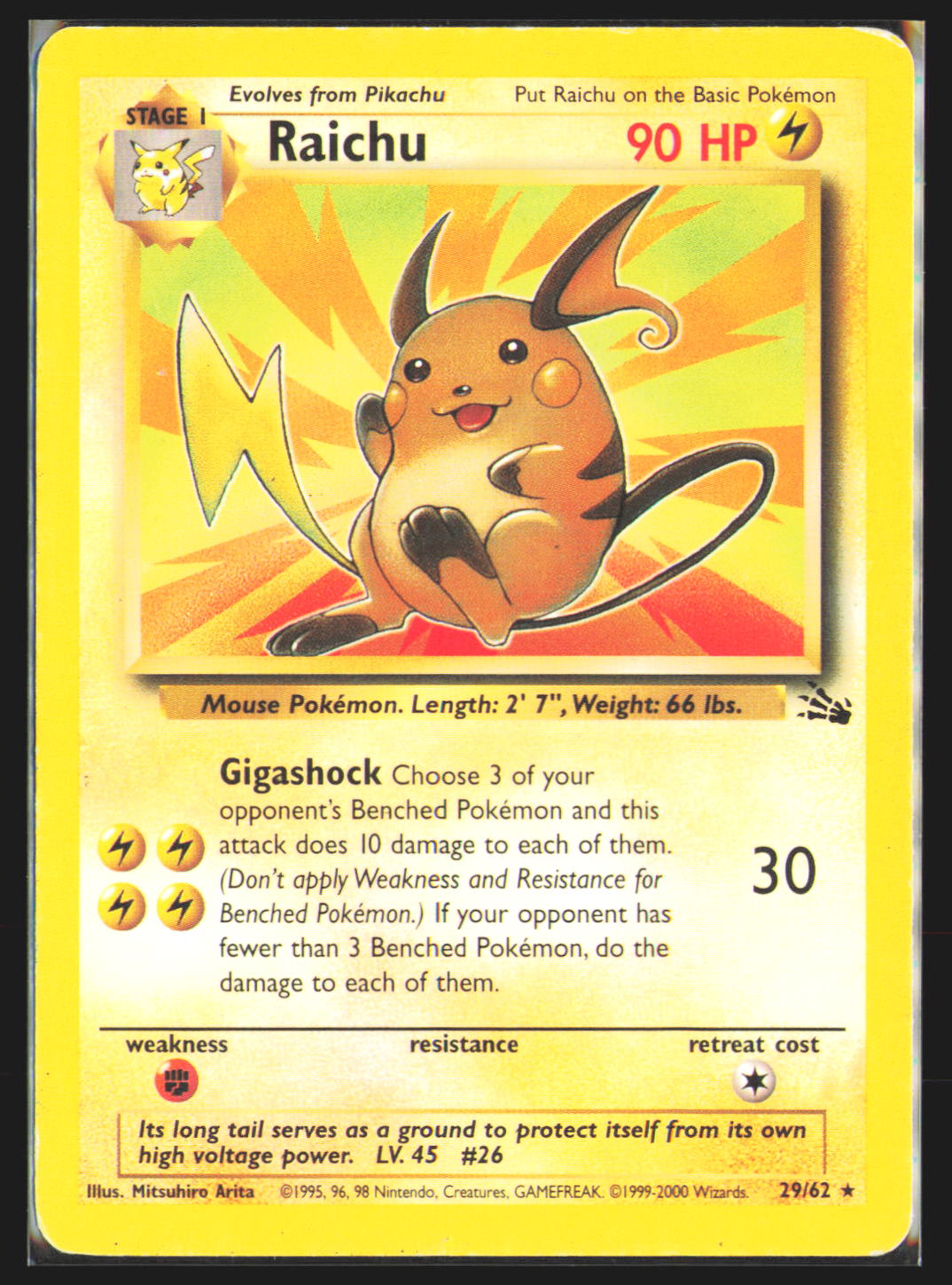 Raichu (29)