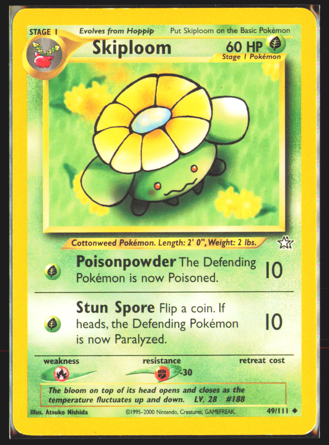 Skiploom