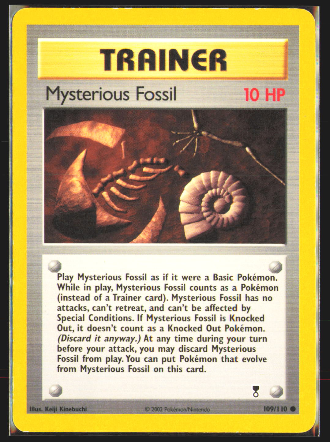 Mysterious Fossil