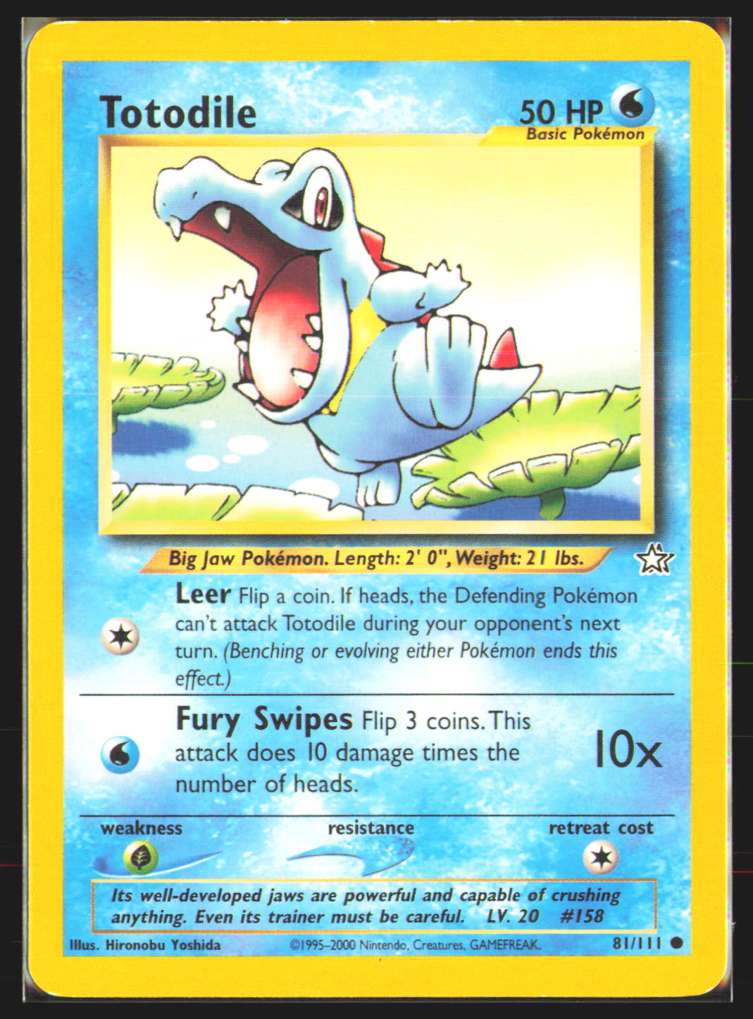 Totodile (81)
